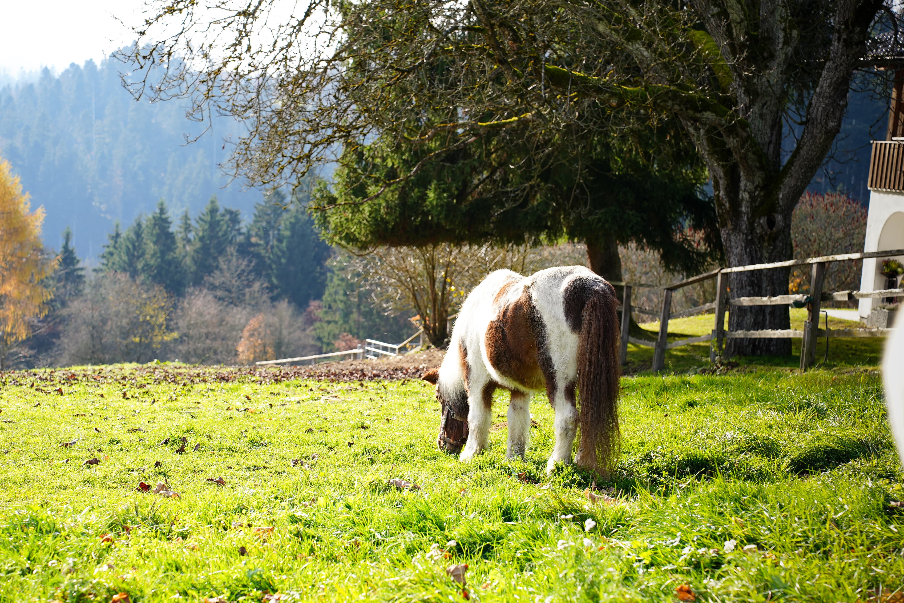Gut Feuerschwendt - Bild 4