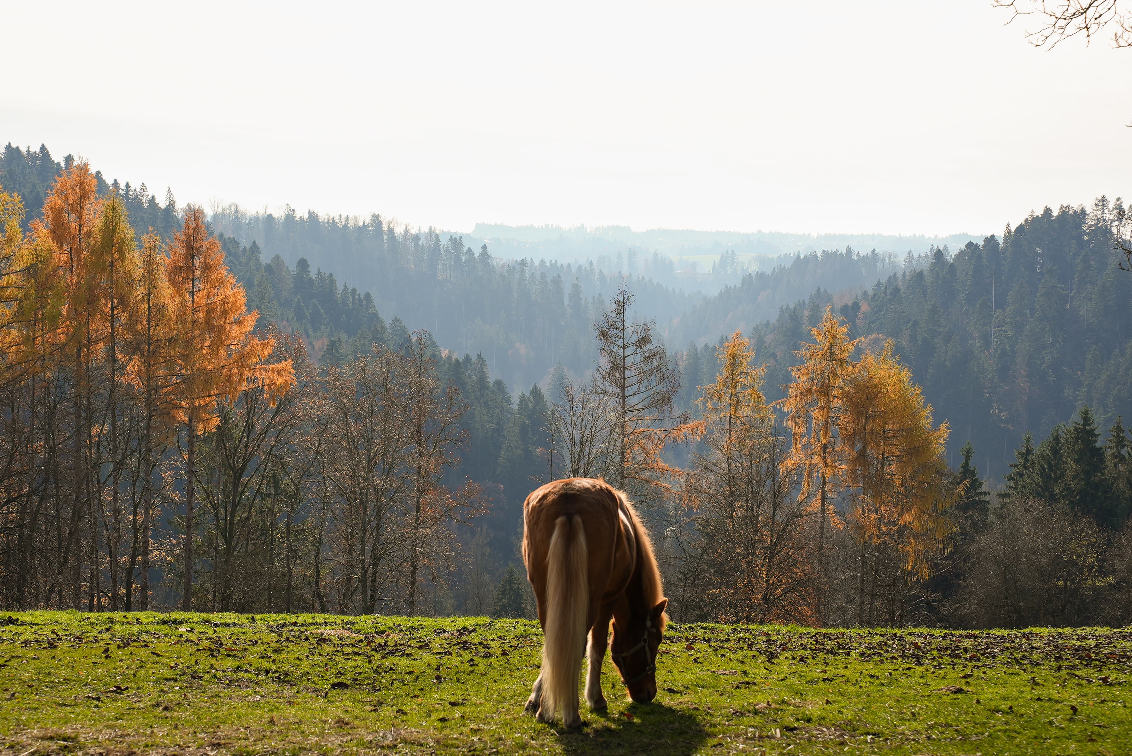 Gut Feuerschwendt - Bild 5