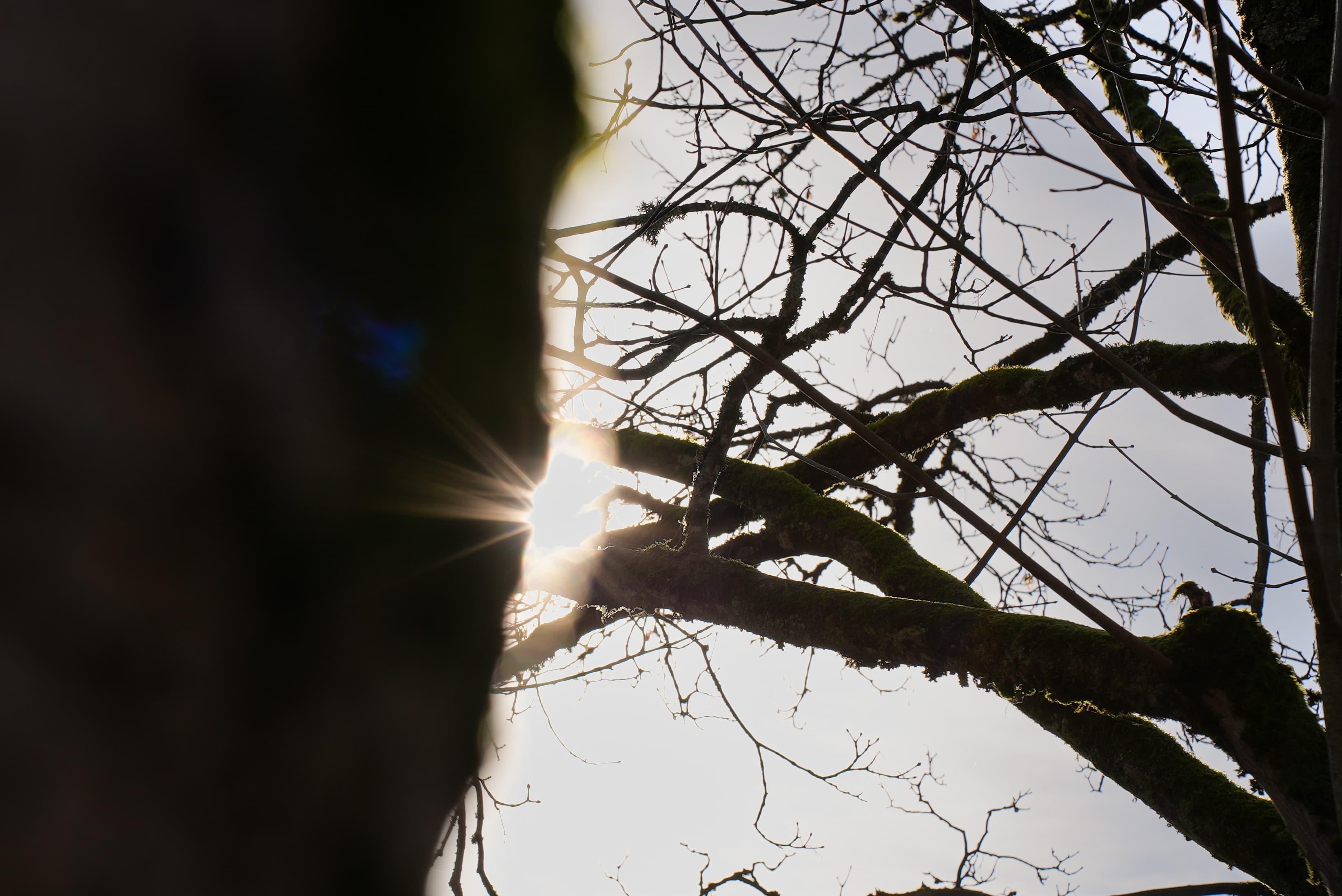 Gut Feuerschwendt - Bild 8