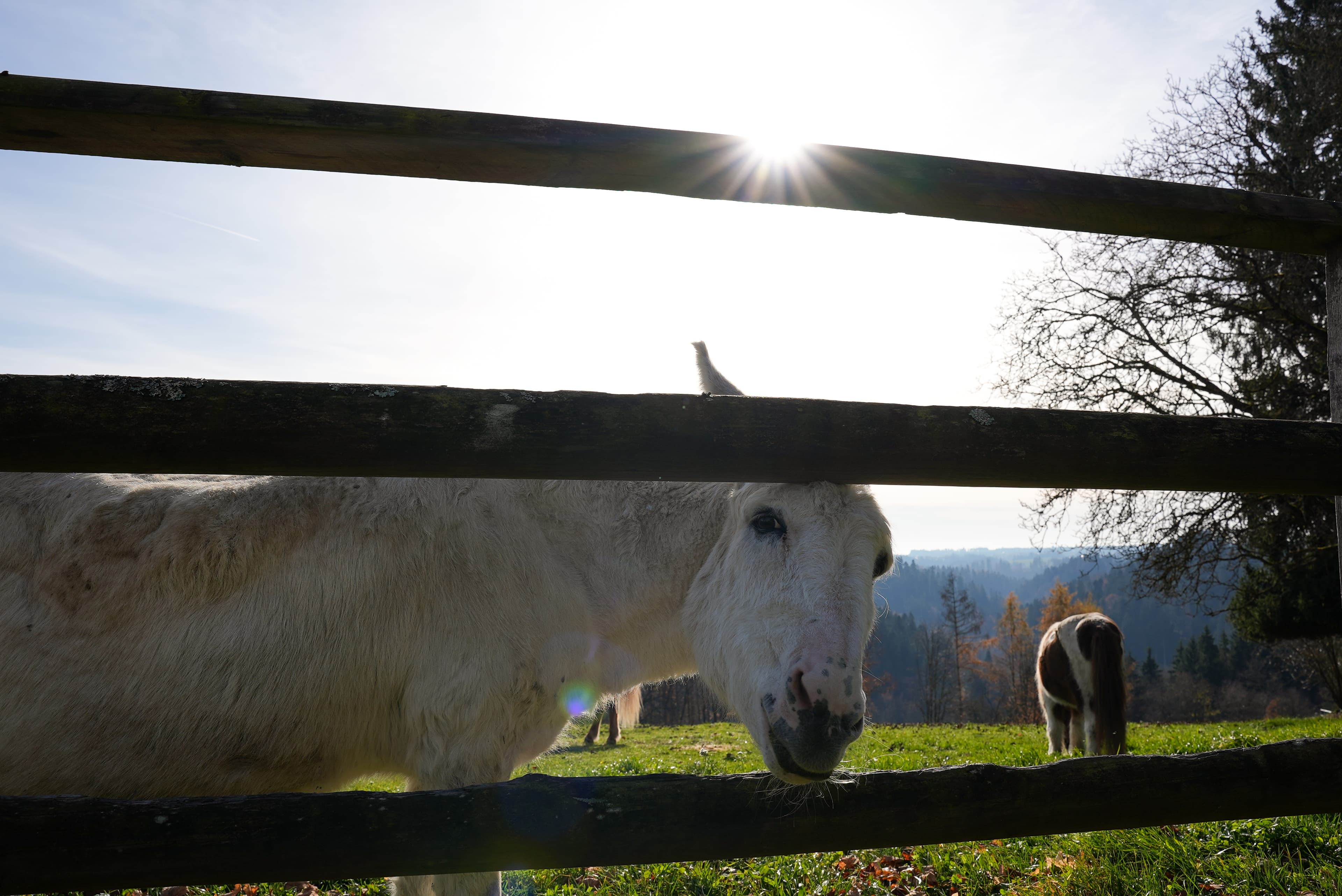 Gut Feuerschwendt - Bild 3