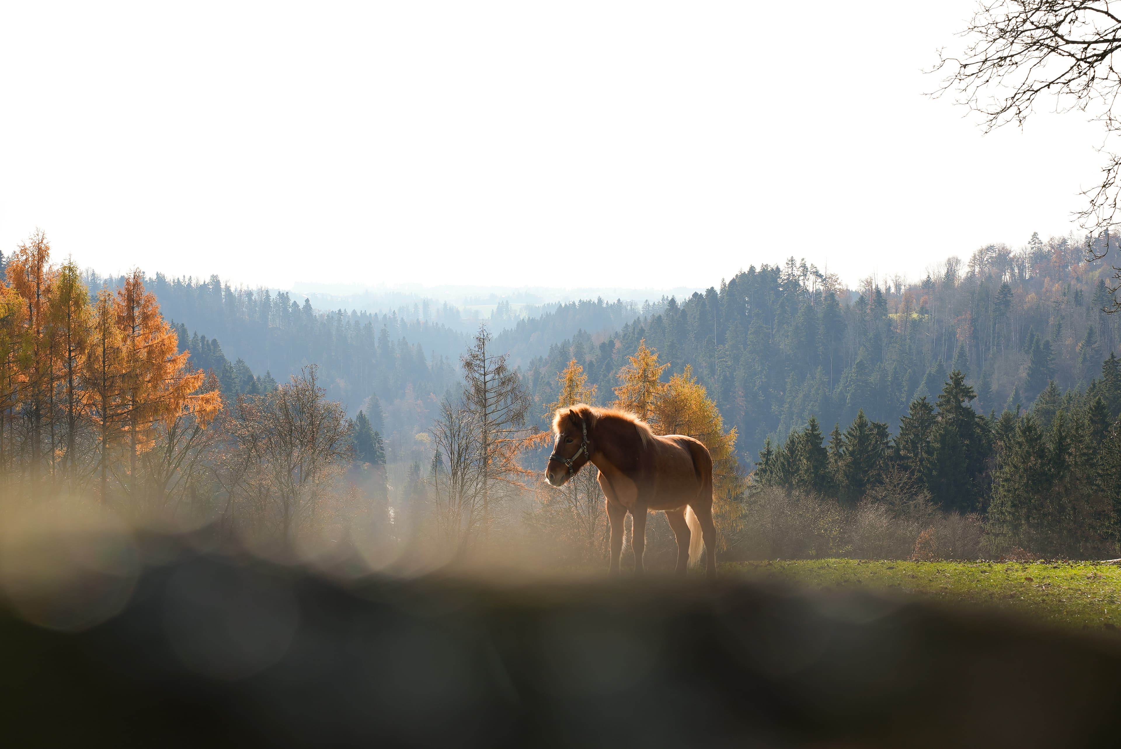 Gut Feuerschwendt - Bild 6